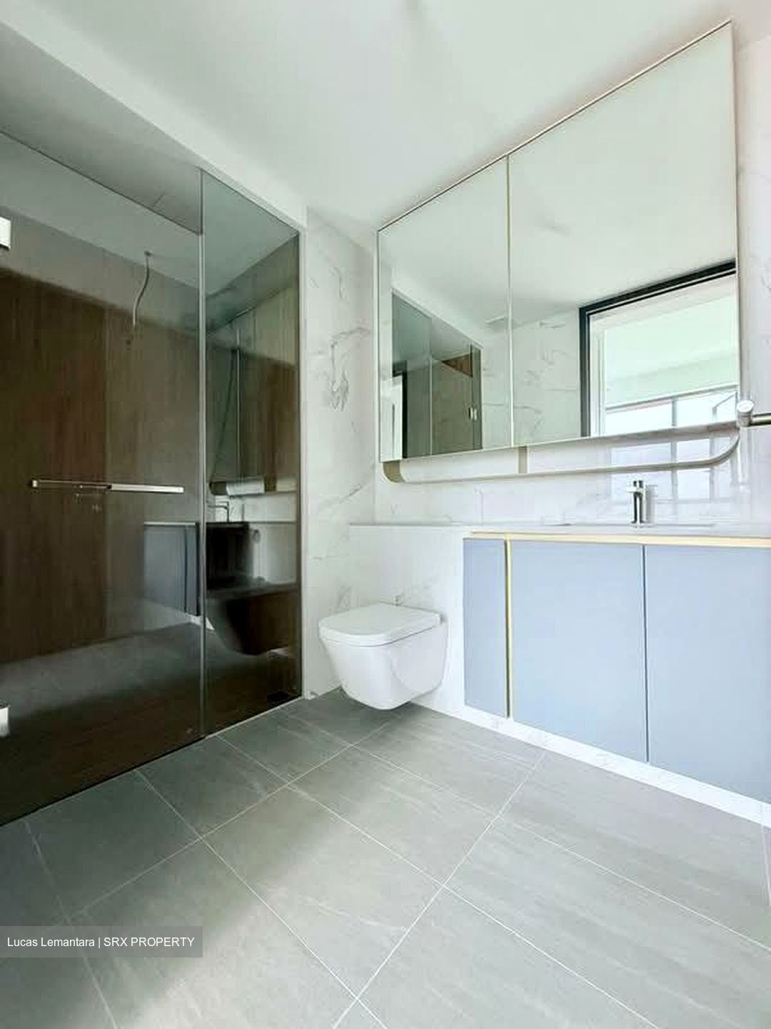 Amo Residence (D20), Apartment #555162351